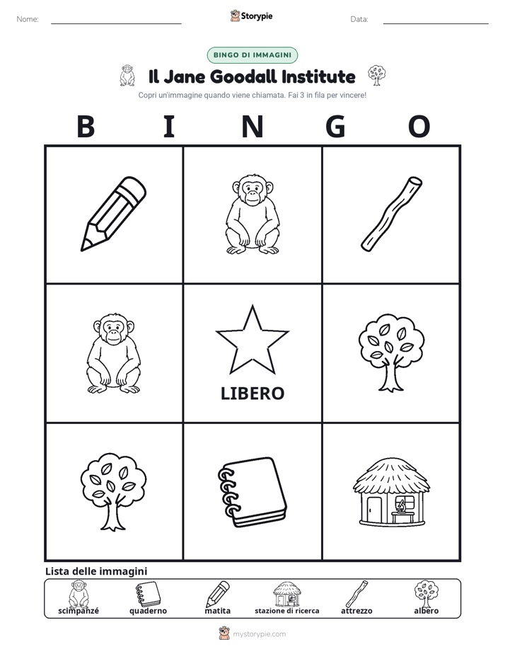 Bingo delle Immagini