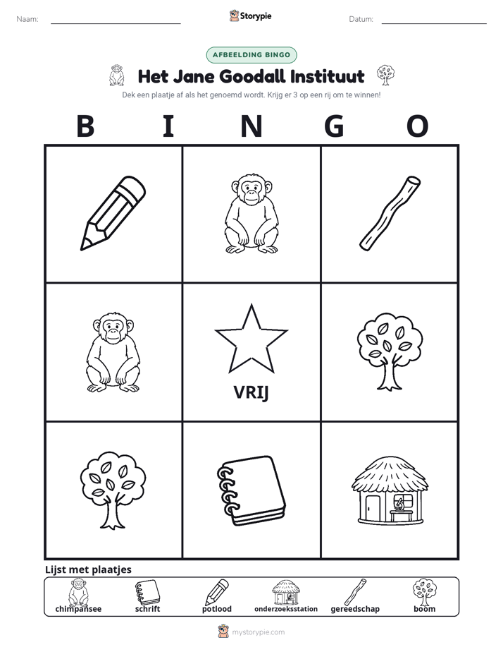 Afbeelding Bingo