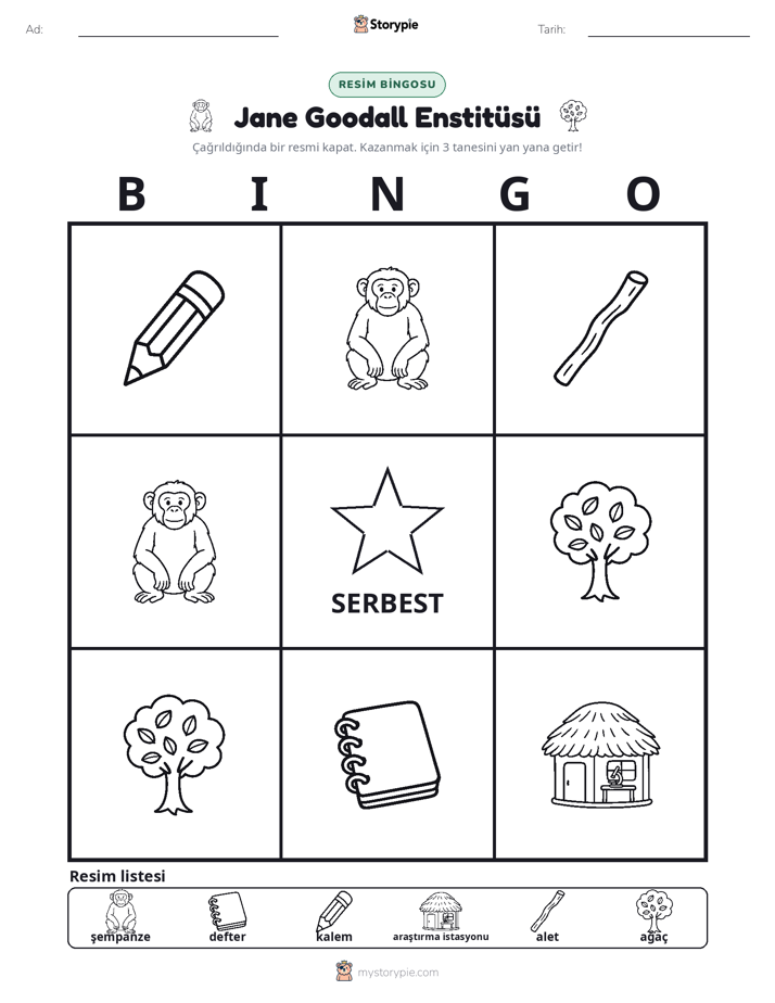 Resim Bingo