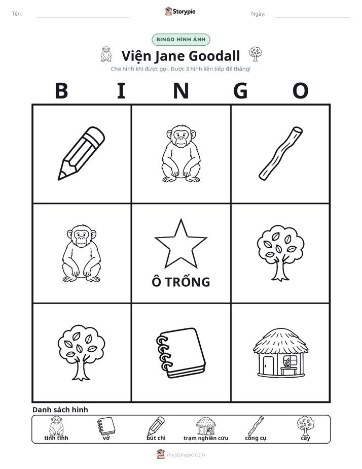 Bingo Hình Ảnh