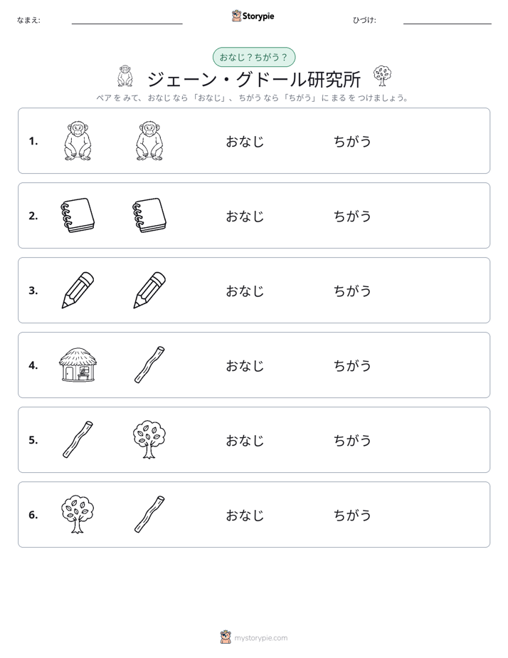 同じか違うか