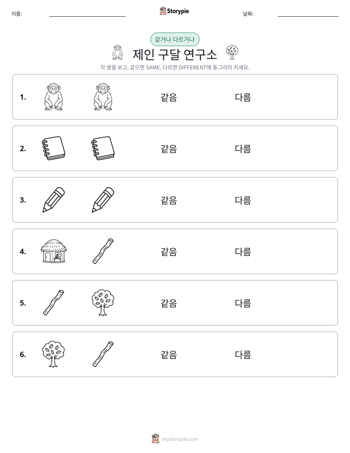 같은 것 또는 다른 것