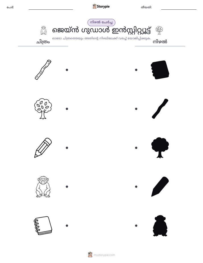 ഷാഡോ മാച്ച്