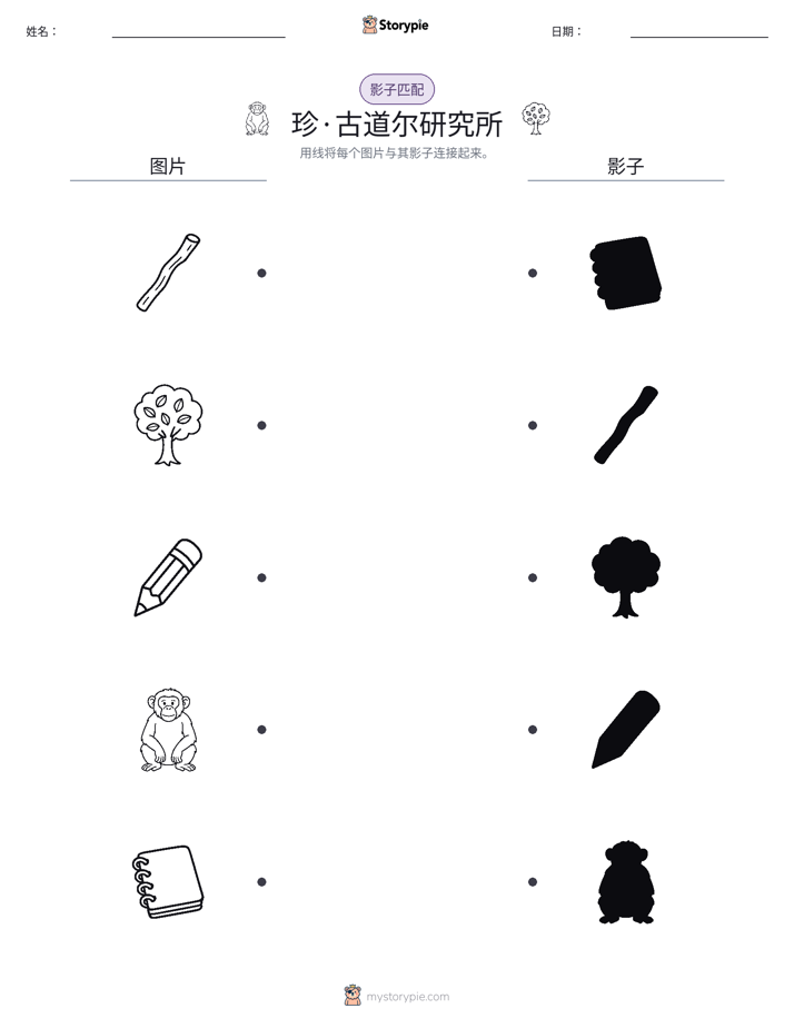 影子匹配
