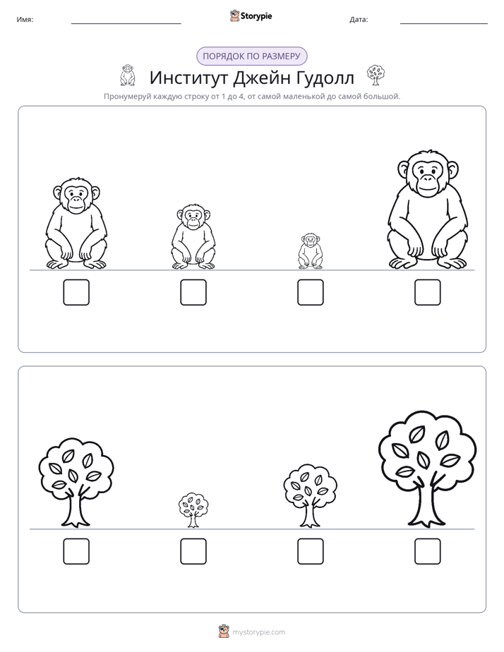 Размеры в порядке