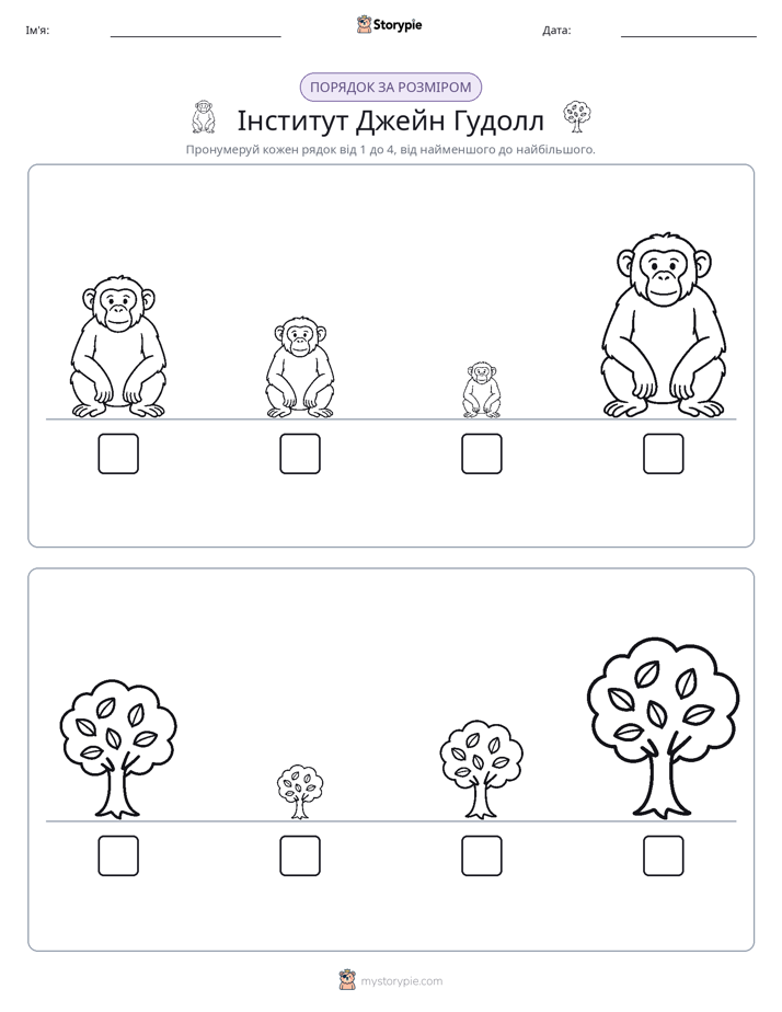 Порядок Розміру