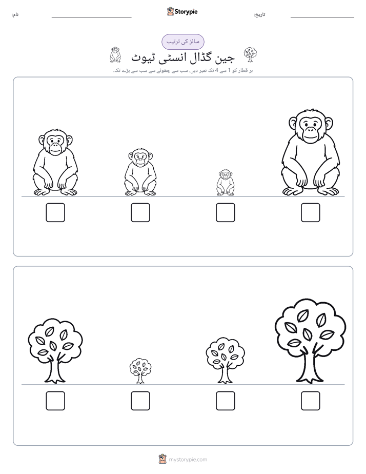 سائز کی ترتیب