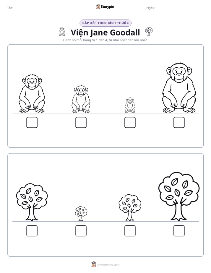 Thứ Tự Kích Thước