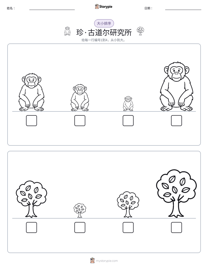 大小排序