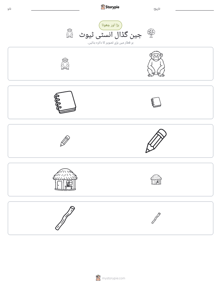 ترتیب دینا
