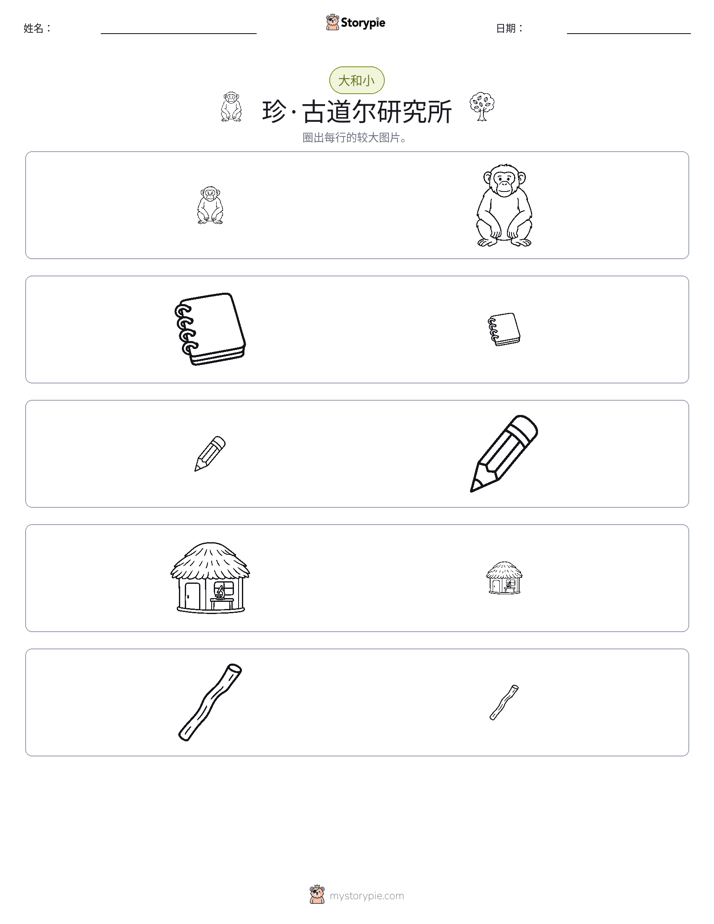 分类
