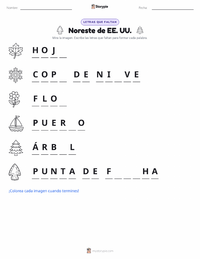 Vista previa de la hoja de trabajo imprimible de Noreste (EE. UU.)