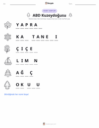 Kuzeydoğu (ABD) yazdırılabilir çalışma sayfası önizlemesi