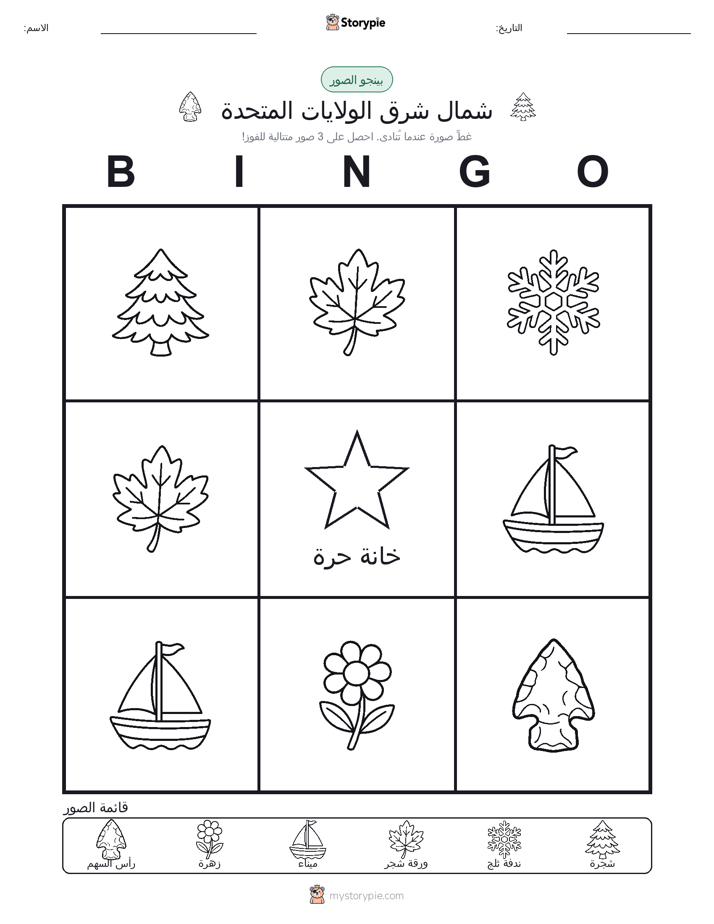 بينغو الصور