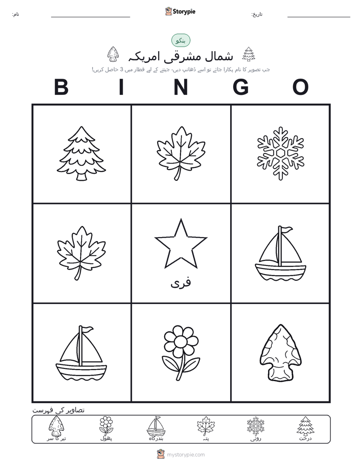 تصویری بنگو