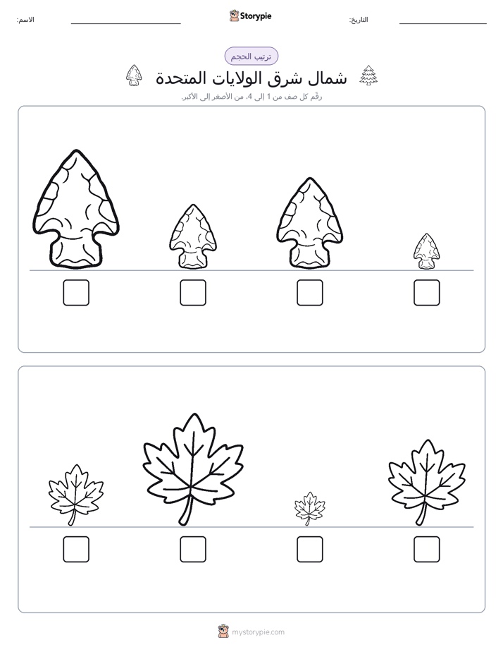 ترتيب الحجم