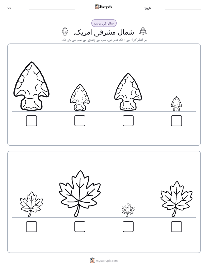 سائز کی ترتیب