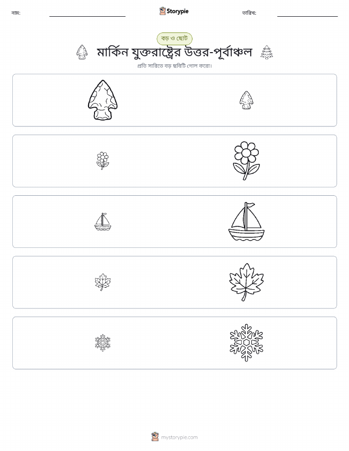 সাজানো