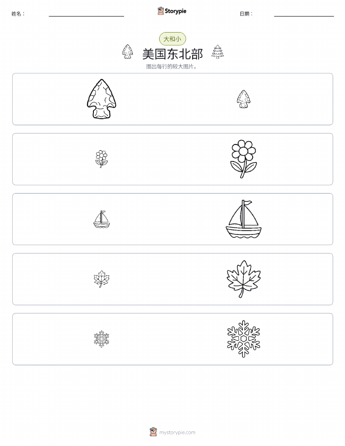 分类