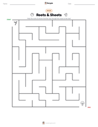 Roots & Shoots printable worksheet preview