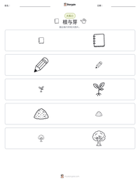 根与芽 可打印工作表预览