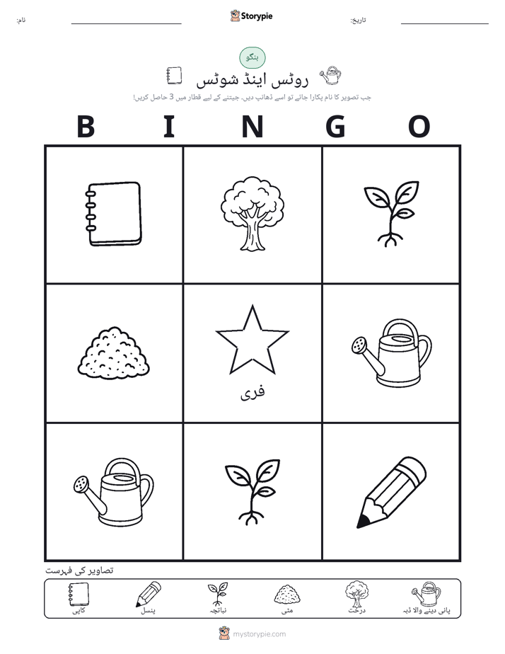تصویری بنگو