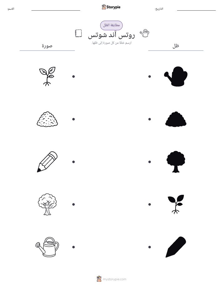 مطابقة الظل