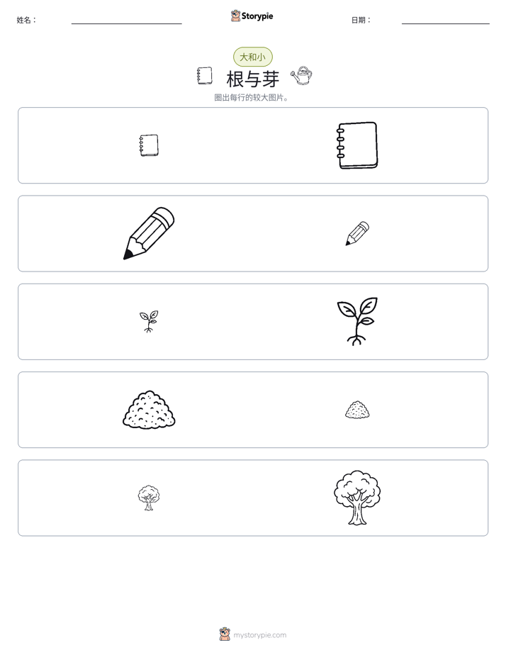 分类