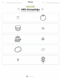 Güneydoğu (ABD) yazdırılabilir çalışma sayfası önizlemesi