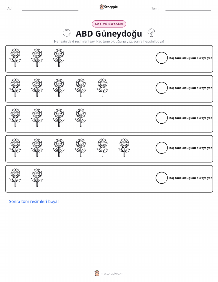 Say & Renklendir