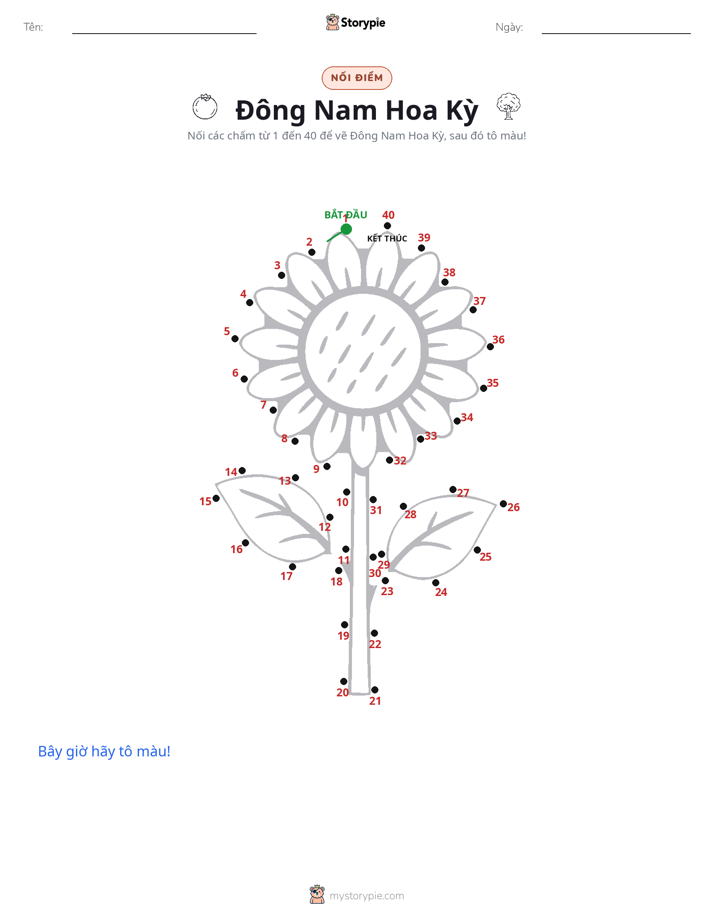 Nối Điểm