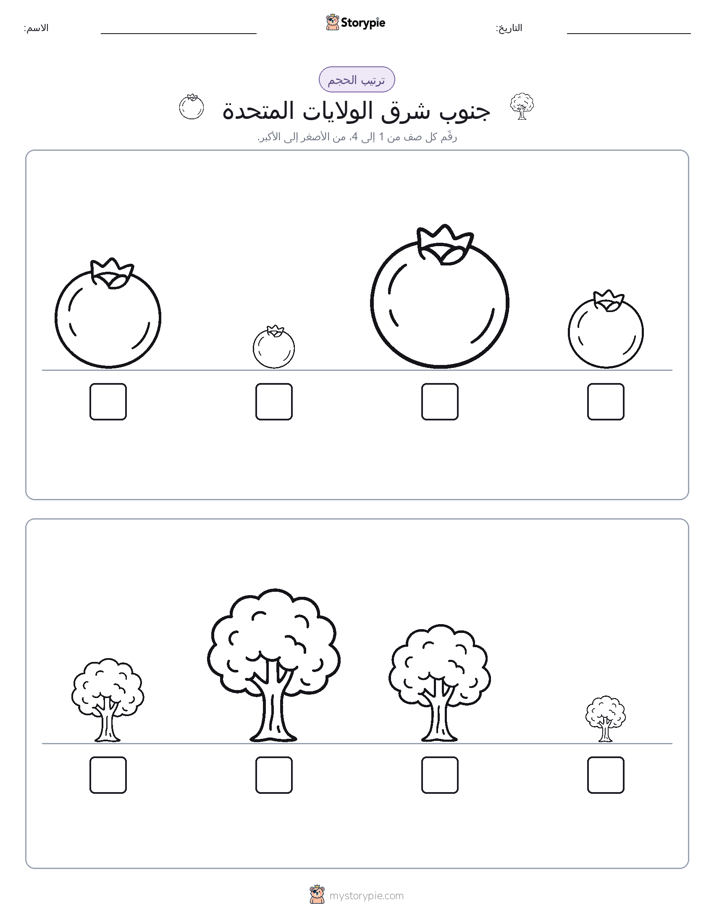 ترتيب الحجم