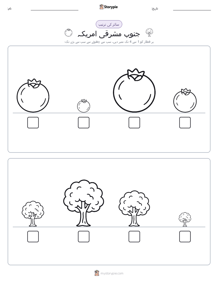 سائز کی ترتیب