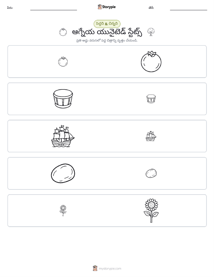 వర్గీకరణ
