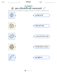 அப்பலேச்சியன் மலைகள் அச்சிடக்கூடிய வேலைப்பதிவின் முன்னோட்டம்