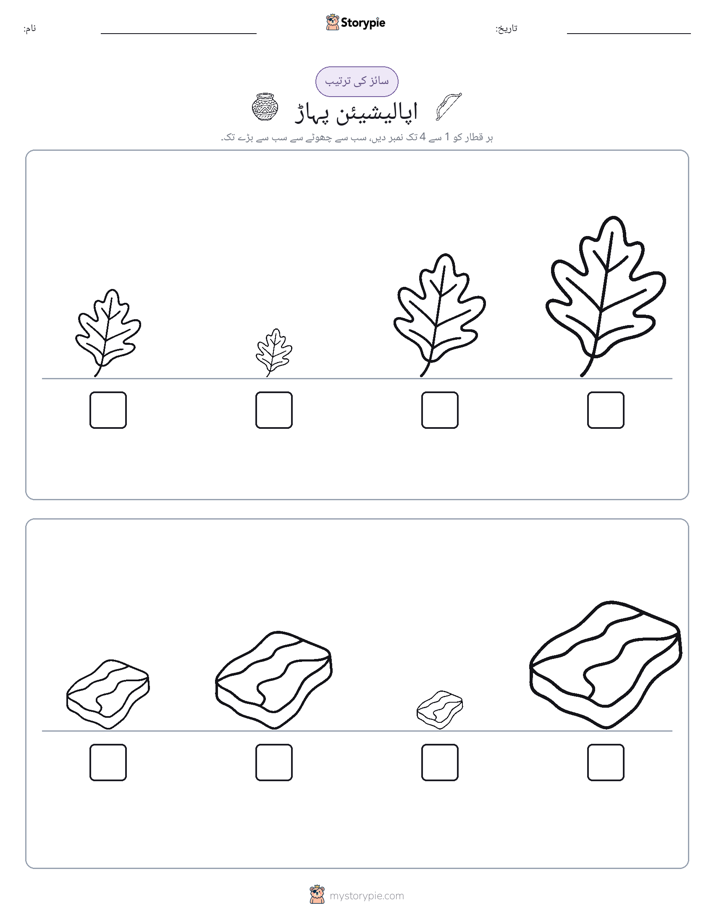 سائز کی ترتیب