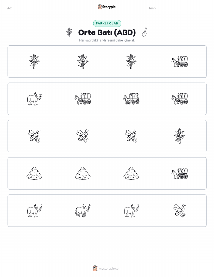 Farklı Olanı Bul