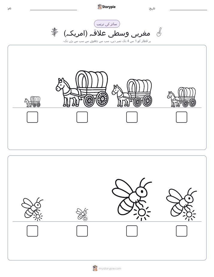 سائز کی ترتیب