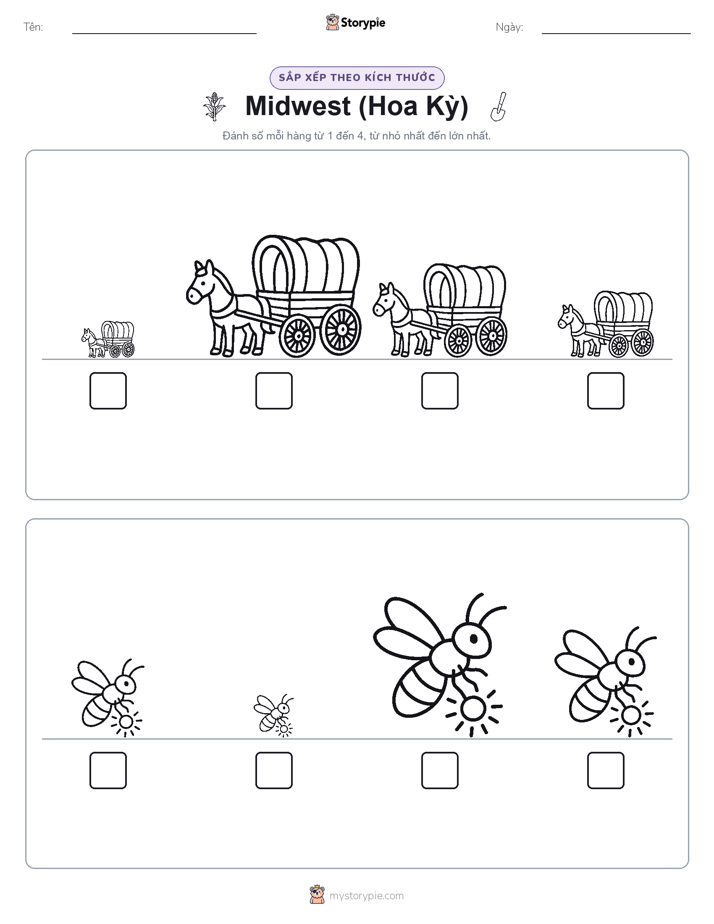 Thứ Tự Kích Thước