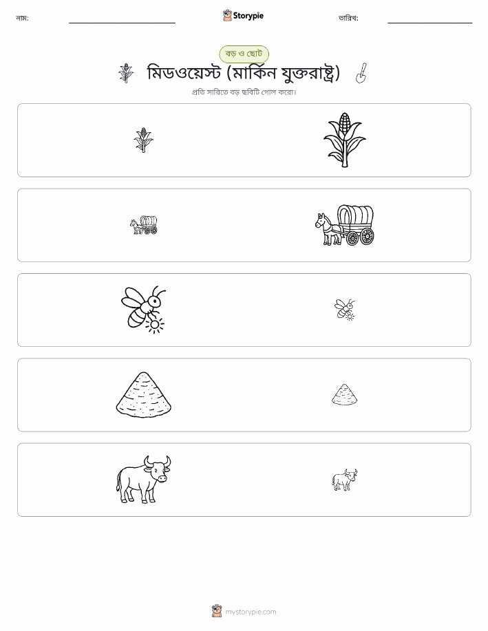 সাজানো