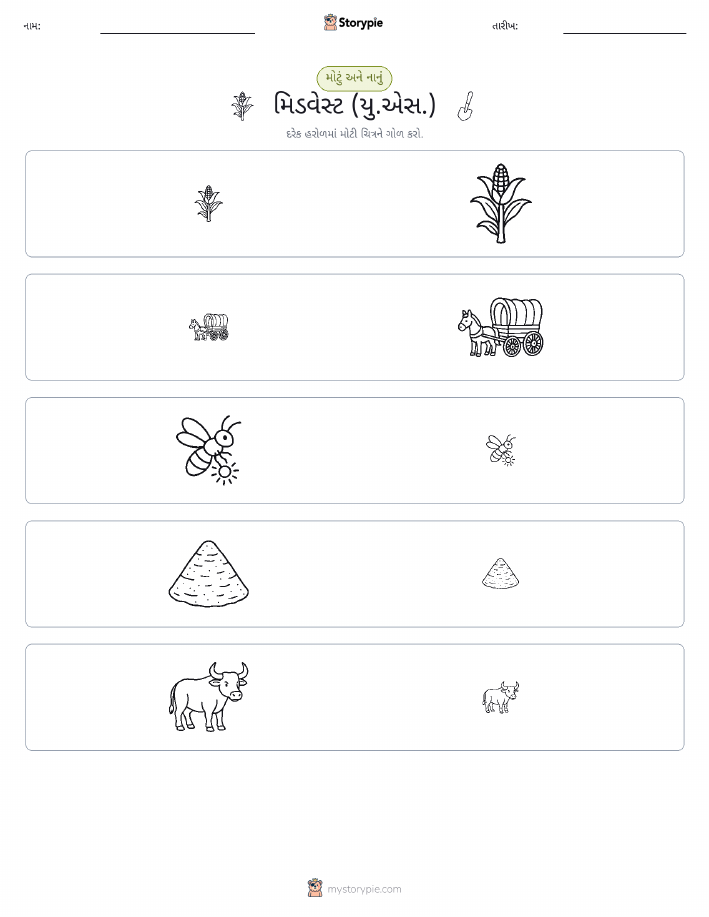 વર્ગીકરણ