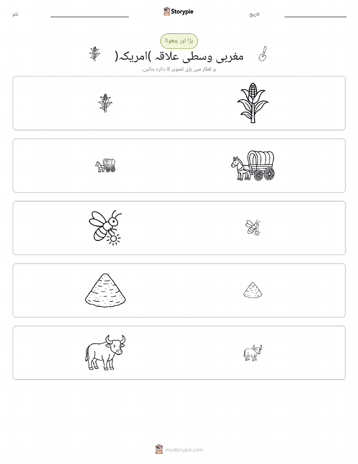 ترتیب دینا