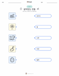생물 어린이용 인쇄 가능한 워크시트