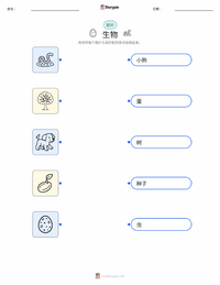 生物 可打印工作表，适合儿童