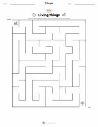 Living things printable worksheet preview