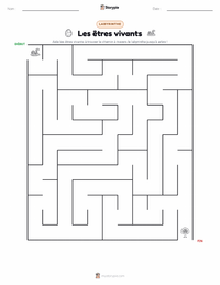 Aperçu de la feuille de travail imprimable Les êtres vivants