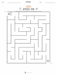 생물 인쇄 가능한 워크시트 미리보기