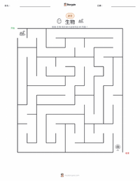 生物 可打印工作表预览
