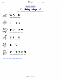 Living things printable worksheet preview