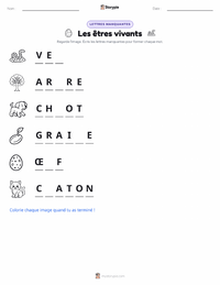 Aperçu de la feuille de travail imprimable Les êtres vivants